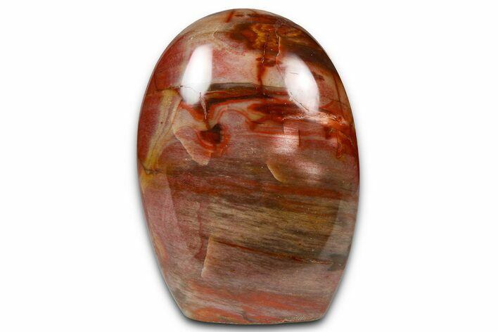 Free-Standing, Polished Petrified Wood - Madagascar #376095